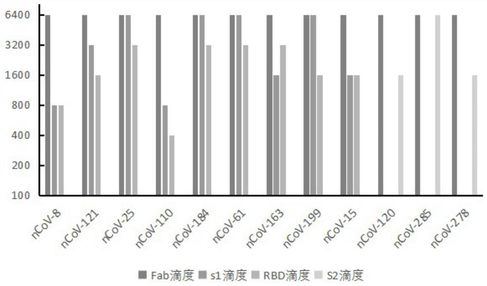 Humanized anti-novel coronavirus neutralizing antibody nCoV-121 and application thereof