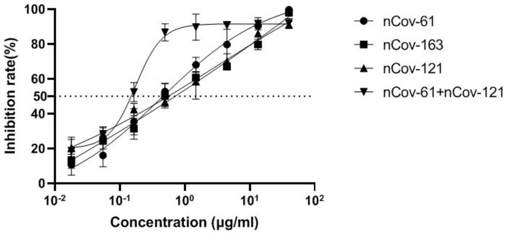 Humanized anti-novel coronavirus neutralizing antibody nCoV-121 and application thereof