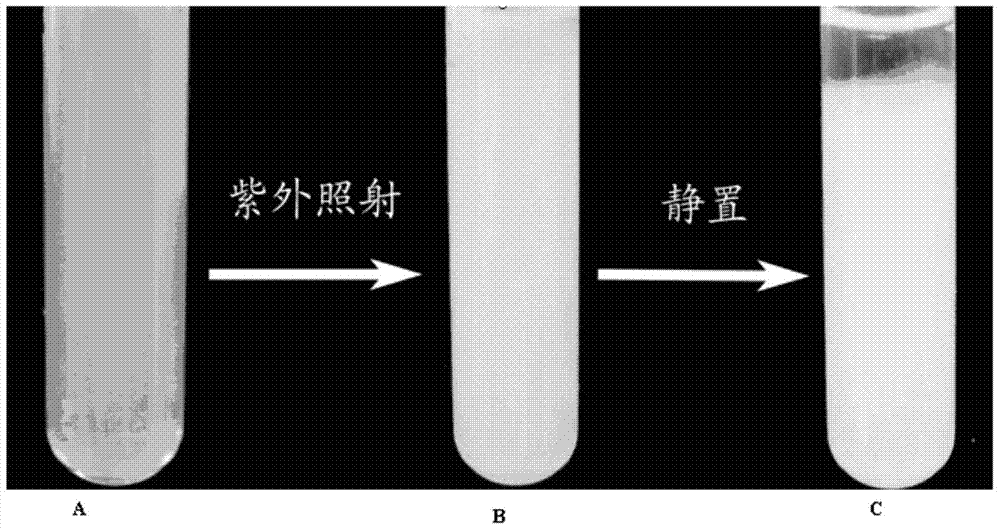 Preparation method for polymeric nanometer microsphere