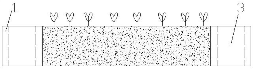 A small cultivation trough with embedded water surrounded by water