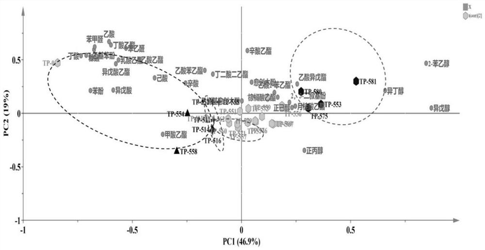 Saccharomyces cerevisiae with low fusel yield and high ester yield and application of saccharomyces cerevisiae in fermented food production