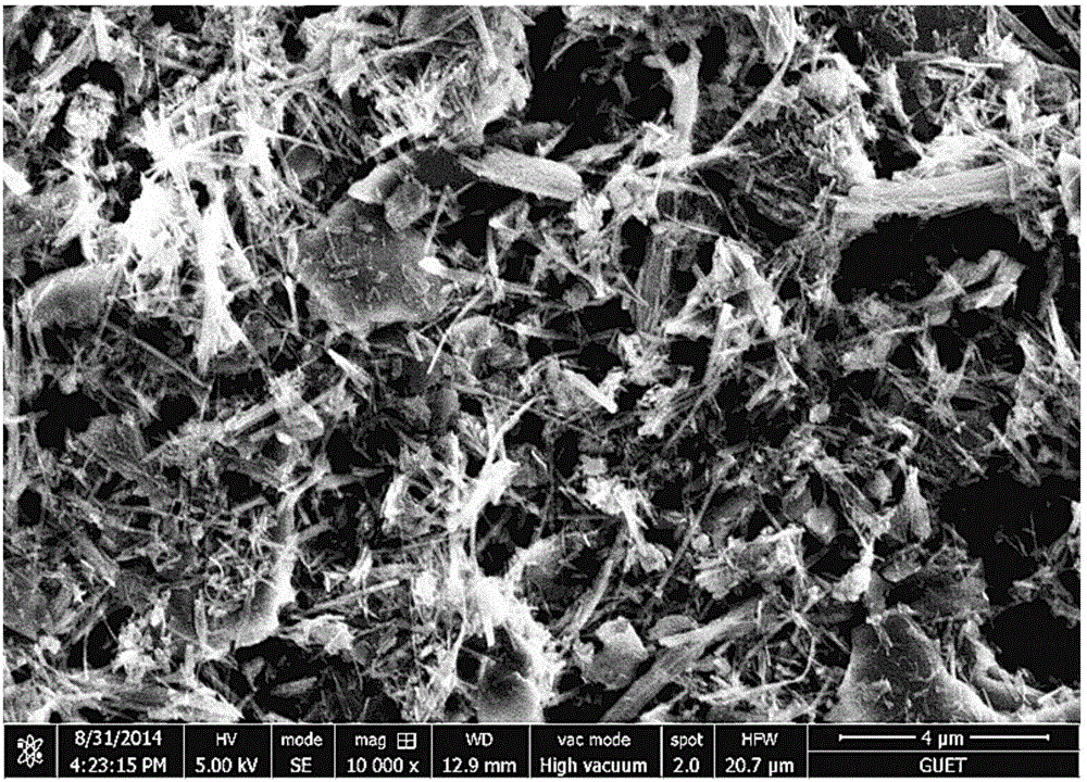 Phyllosilicate/natural latex composite adhesive film and preparation method thereof