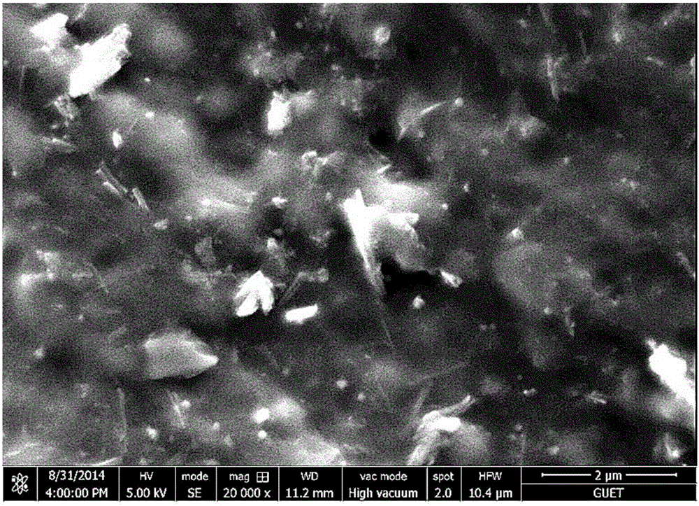 Phyllosilicate/natural latex composite adhesive film and preparation method thereof