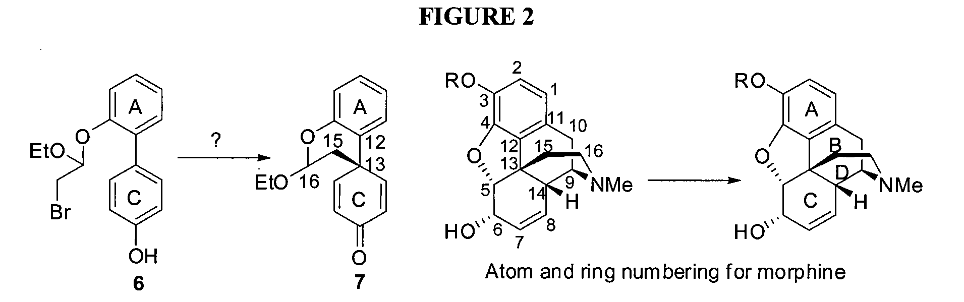 Efficient Synthesis Of Galanthamine