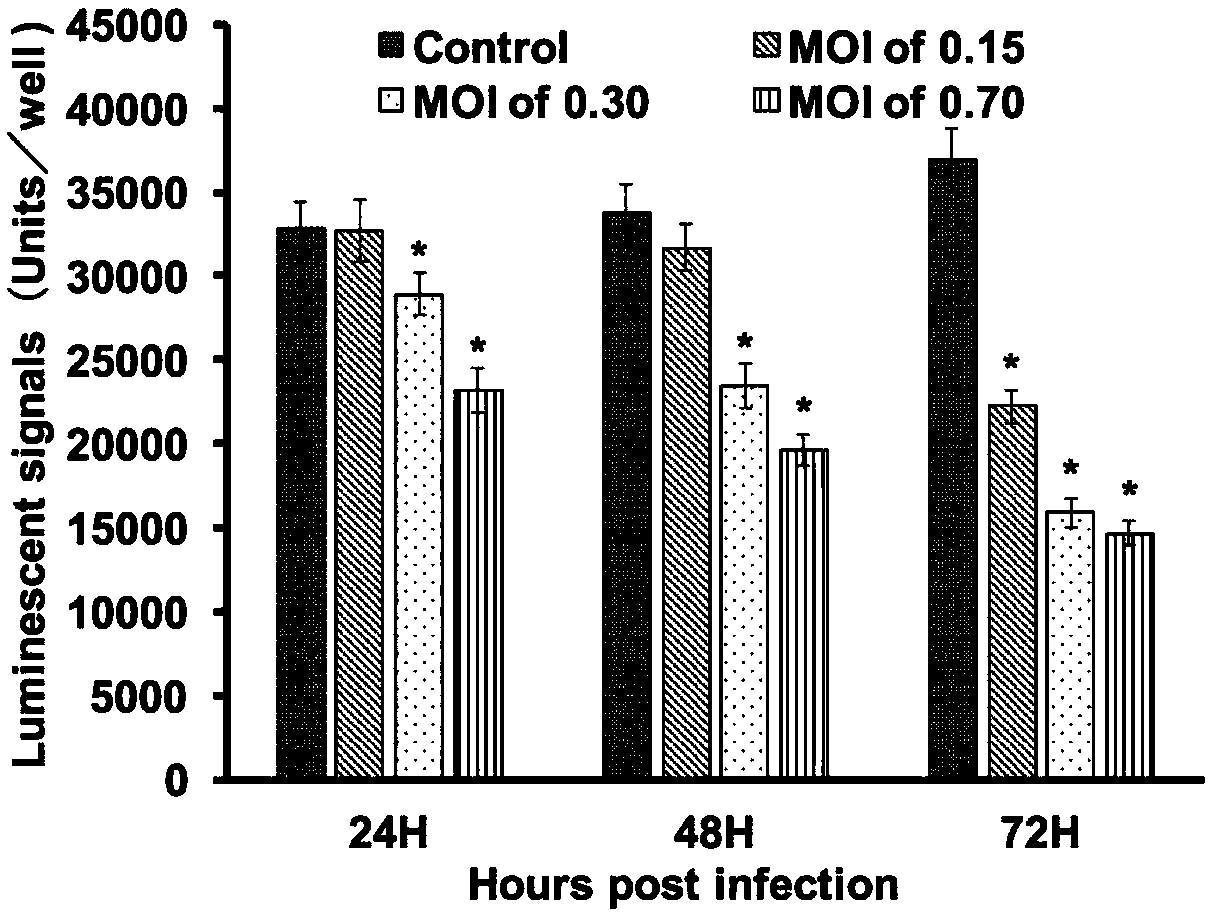 Screening system for anti-Singapore grouper iridovirus (SGIV) drug