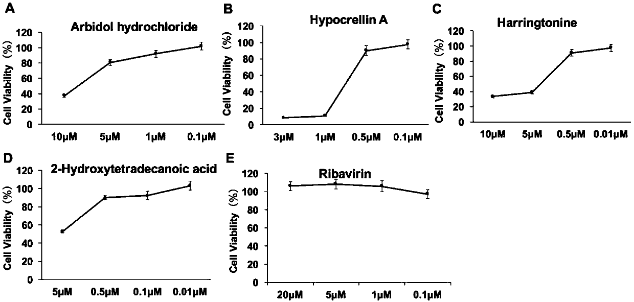 Screening system for anti-Singapore grouper iridovirus (SGIV) drug