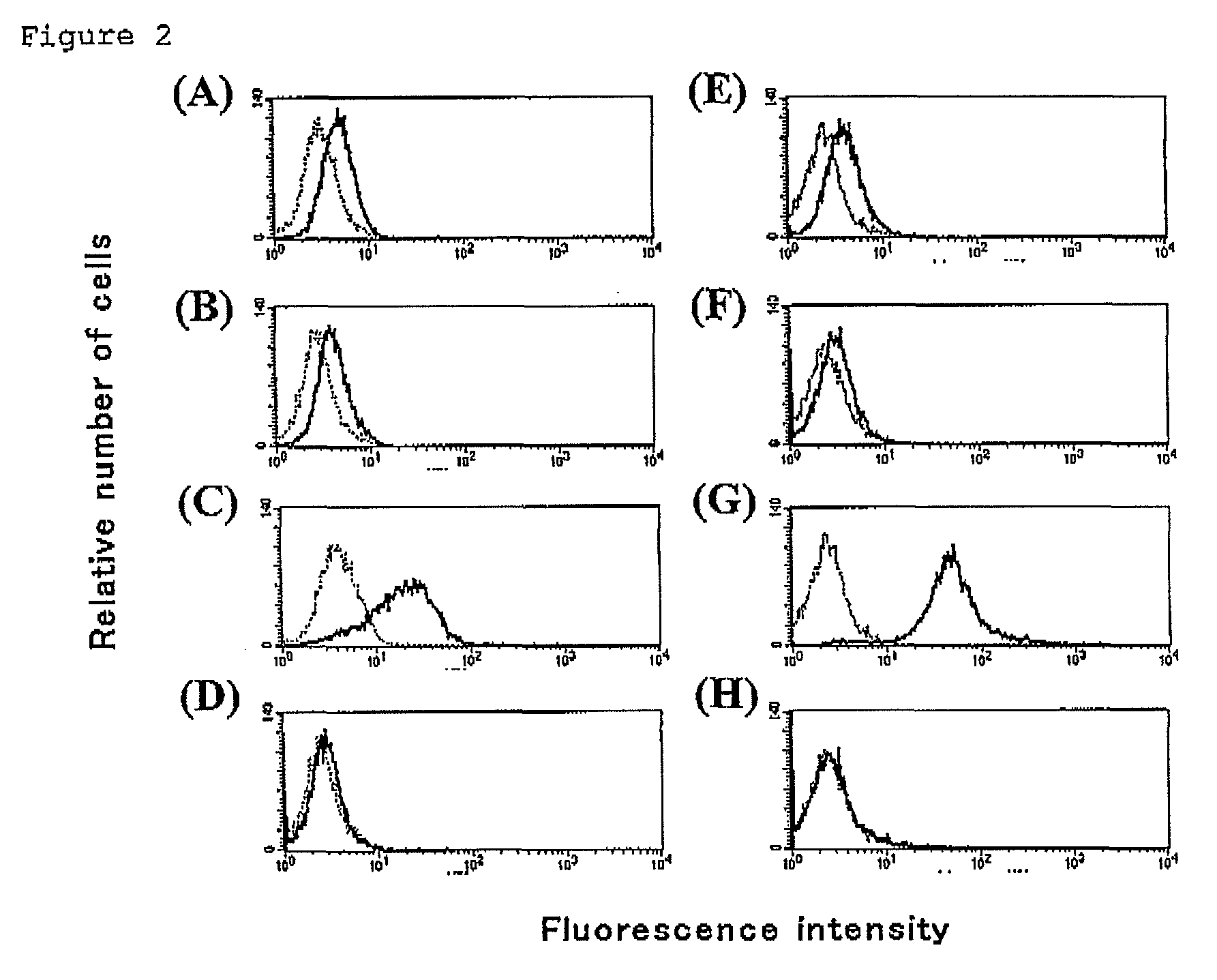 Multimer of extracellular domain of cell surface functional molecule