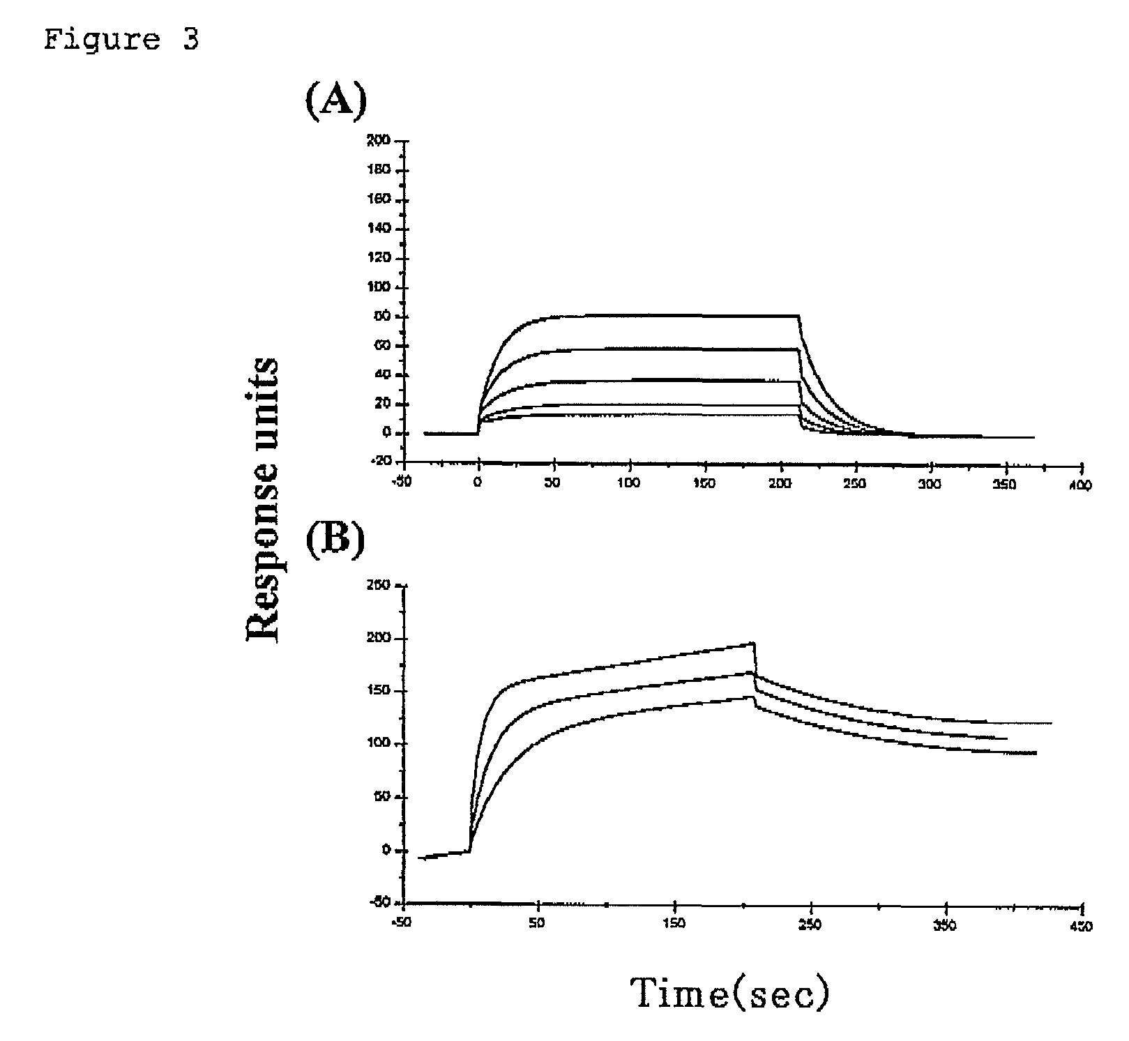 Multimer of extracellular domain of cell surface functional molecule