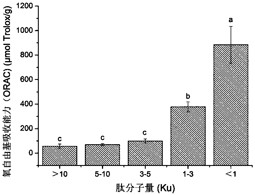 Preparation method and application of drone pupa small-molecular antioxidant peptide