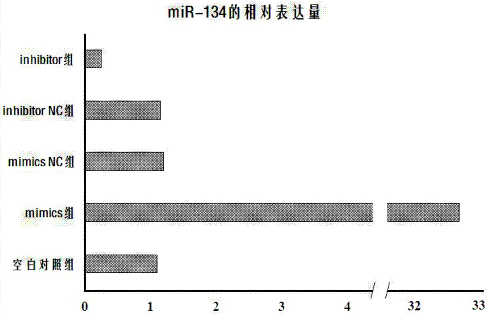 Application of miR-134 and target gene FOXM1 to preparation of mesenchymal stem cell-based pancreatic cancer targeted vector