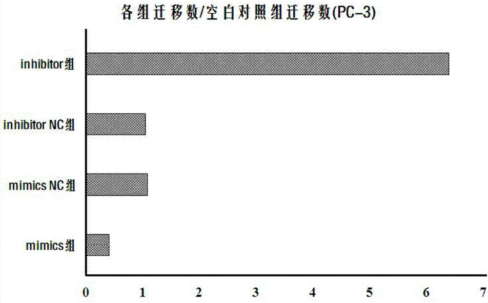 Application of miR-134 and target gene FOXM1 to preparation of mesenchymal stem cell-based pancreatic cancer targeted vector