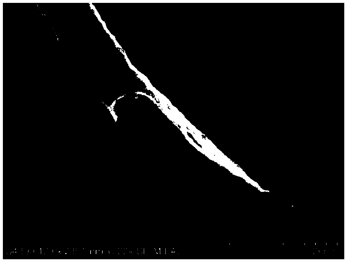 A preparation method of nitrogen-doped porous carbon/graphene two-dimensional composite electrode material