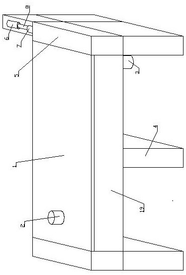 Powdery material belt conveyor and conveying method thereof