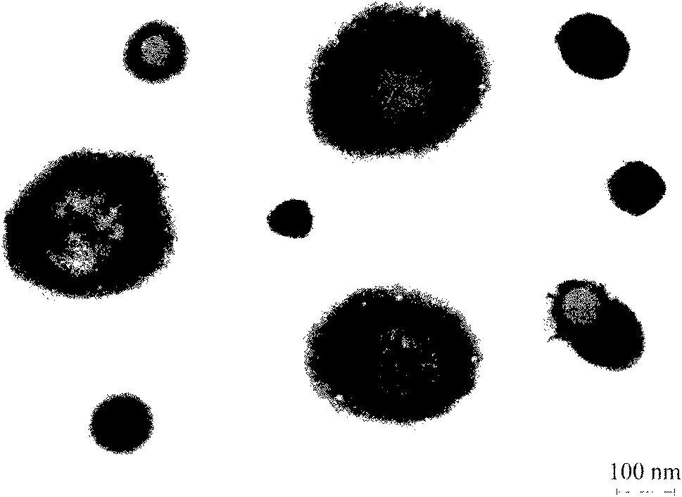 Preparation method of hydroxy-polyacrylate aqueous dispersion and waterborne paint containing hydroxy-polyacrylate aqueous dispersion