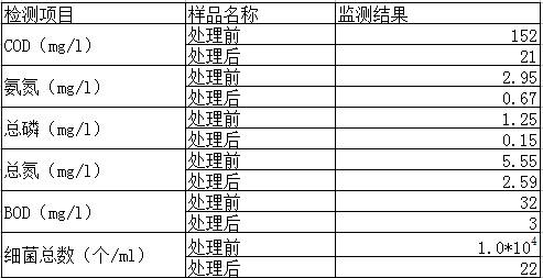 Black and odorous water body rapid repairing agent and preparation method