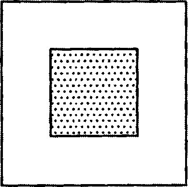 Automatic focusing method and automatic focusing apparatus of electronic camera