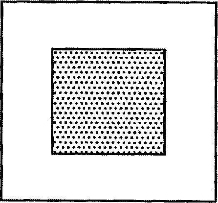 Automatic focusing method and automatic focusing apparatus of electronic camera