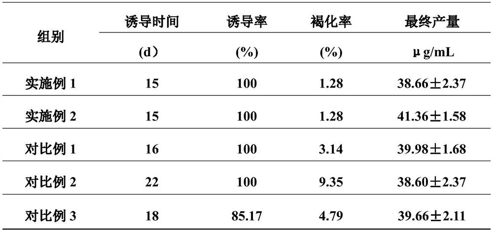 Preparation method of peony callus extract with high paeoniflorin content