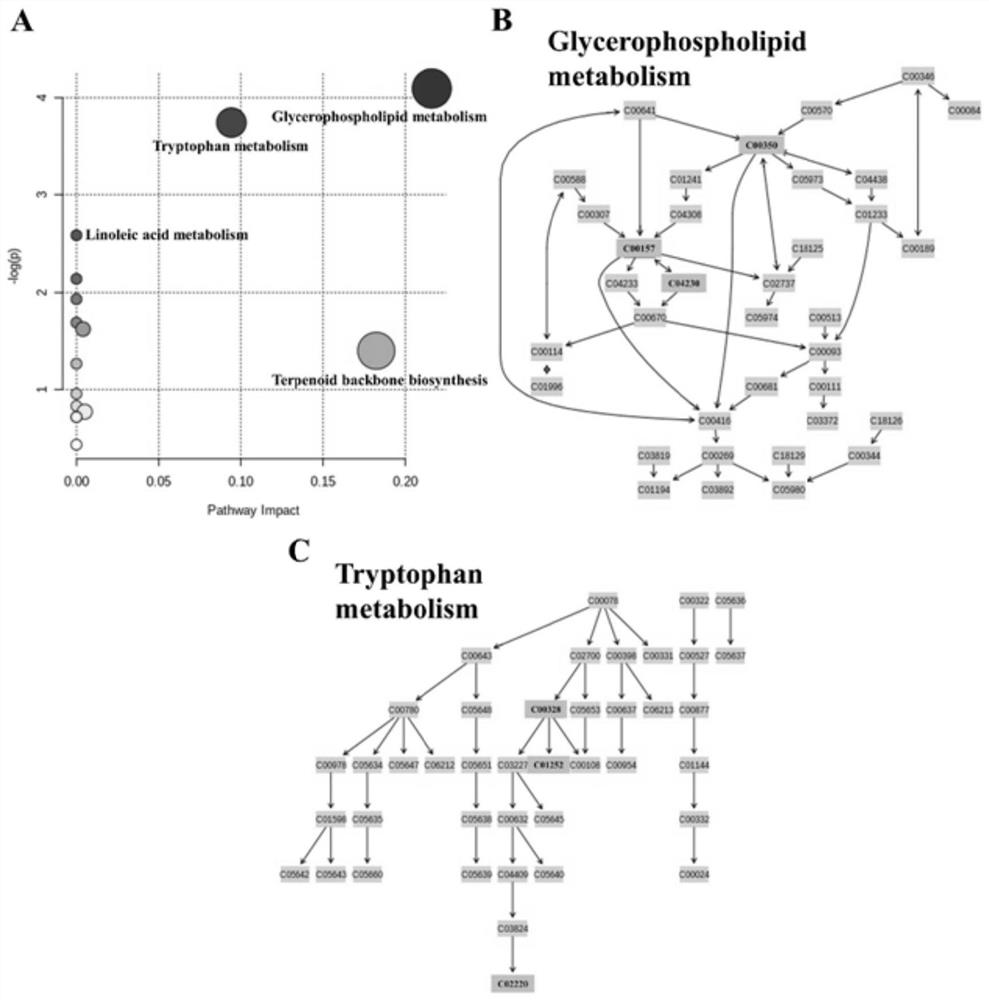 Compound for diagnosing polycystic ovarian syndrome and application