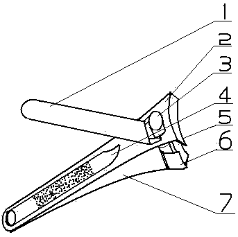 Nail clippers capable of implementing collecting treatment