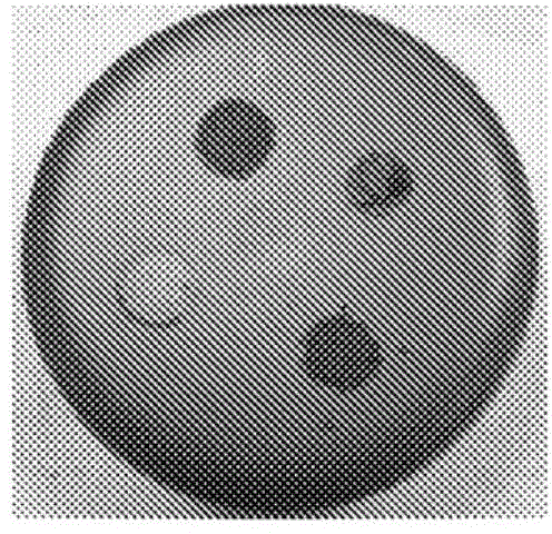 Sol-gel coating comprising a fluorinated filler and culinary article equipped with such a coating