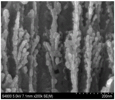 Method for manufacturing highly sensitive surface-enhanced Raman scattering porous silicon photonic crystal biosensor