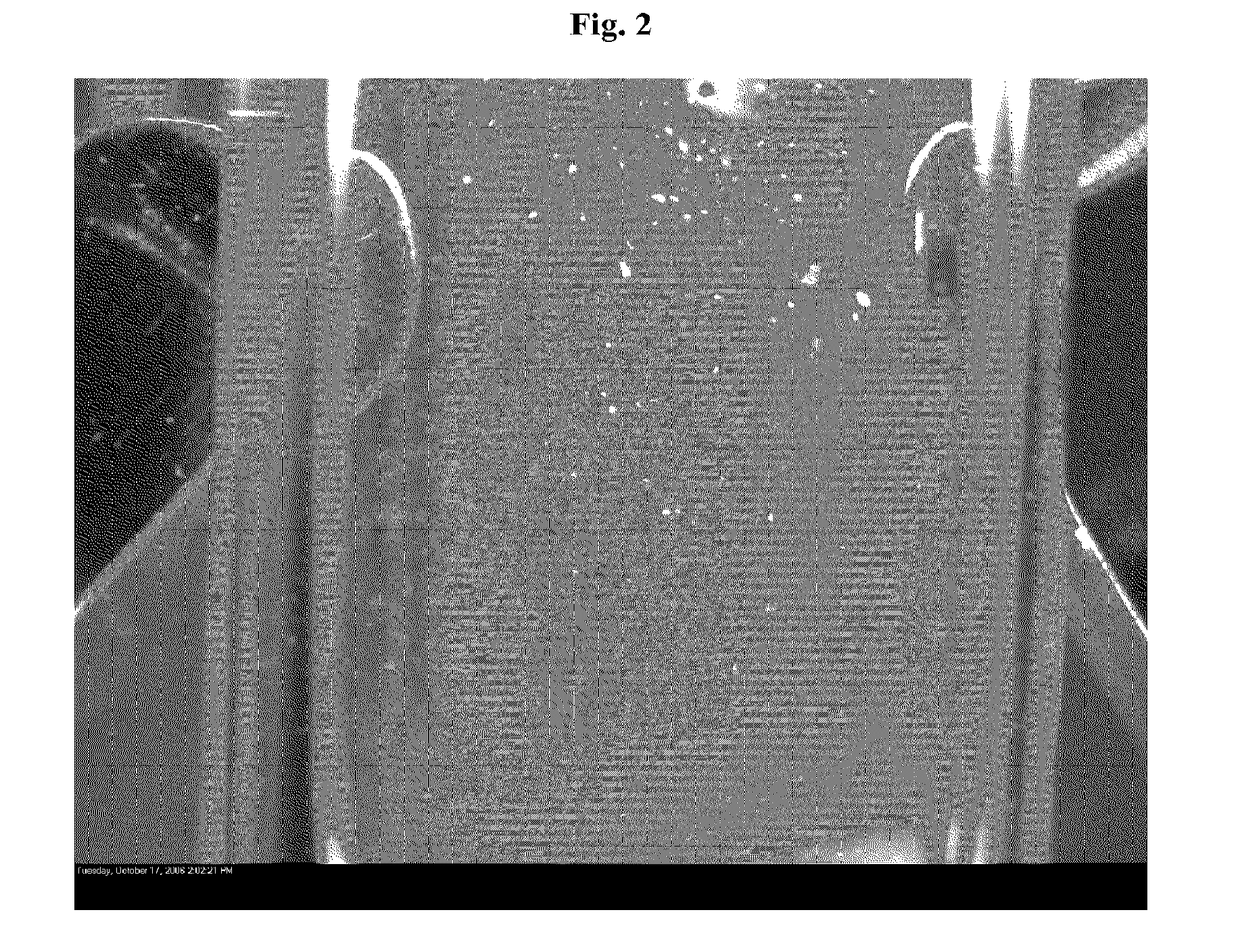 Compositions comprising deoxycholic acid and salts thereof suitable for use in treating fat deposits