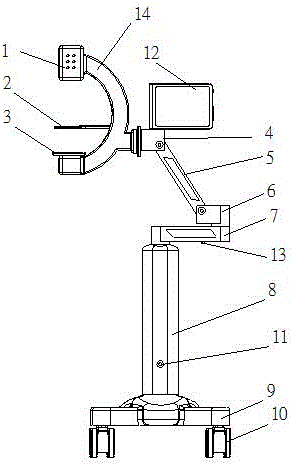 C-shaped infrared mammary gland detector