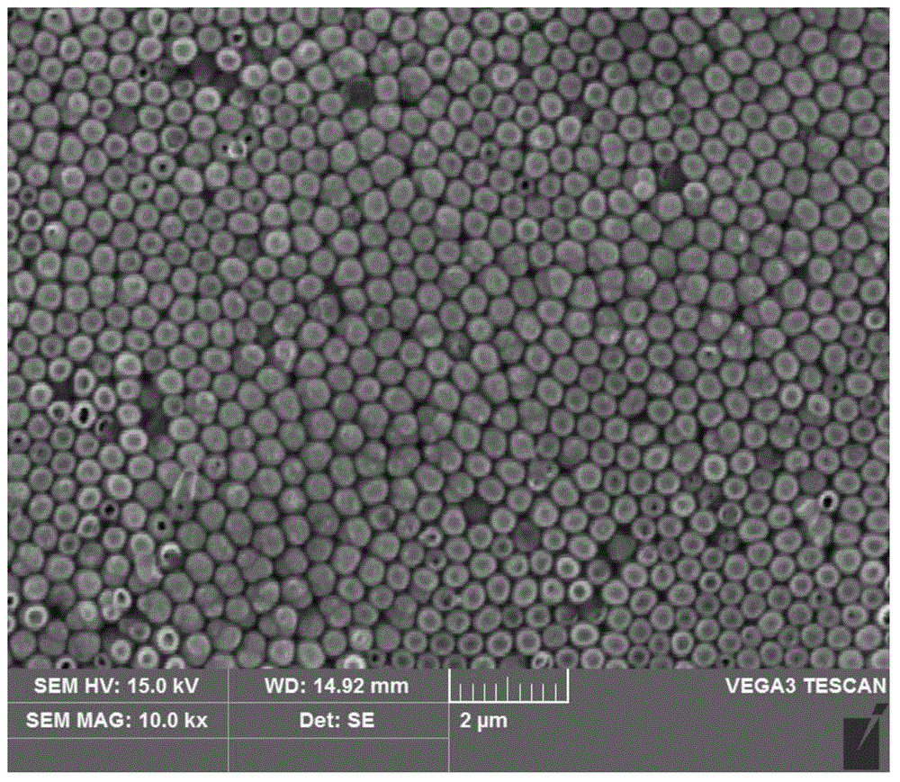 Preparation technology for Ni submicron arrays