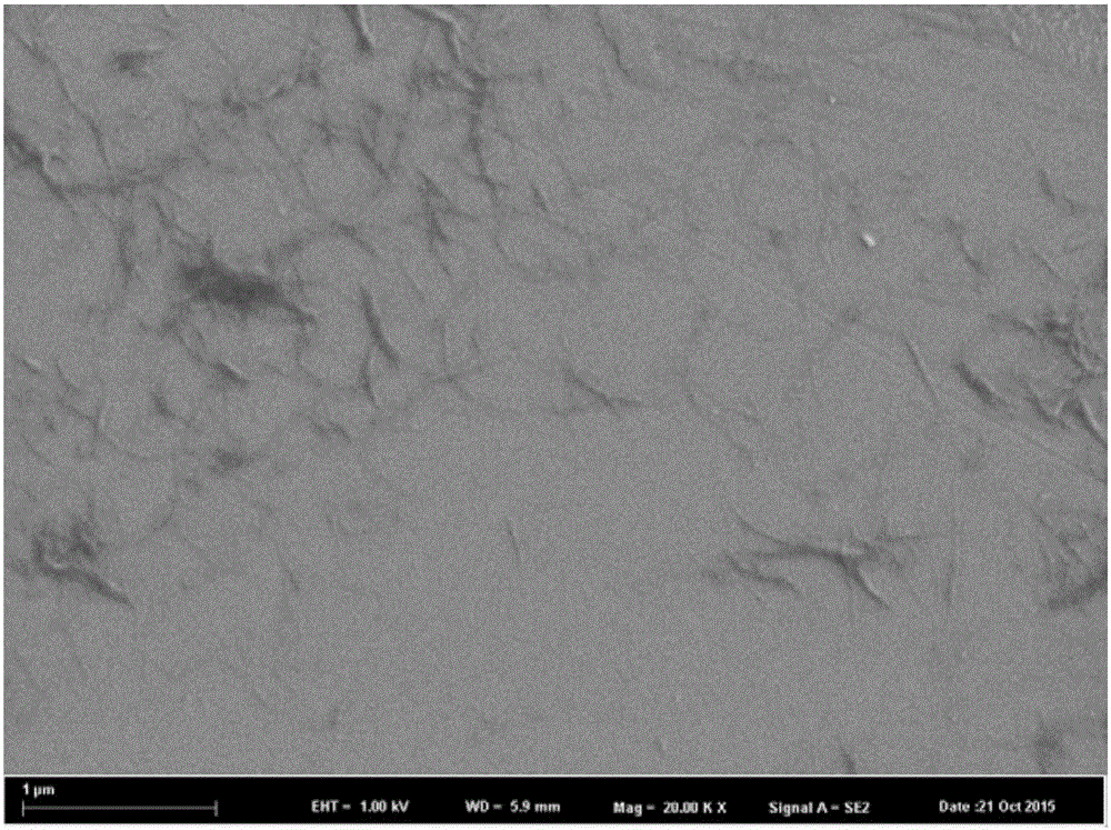 Preparation method of moso bamboo cellulose based nano oral drug carrier