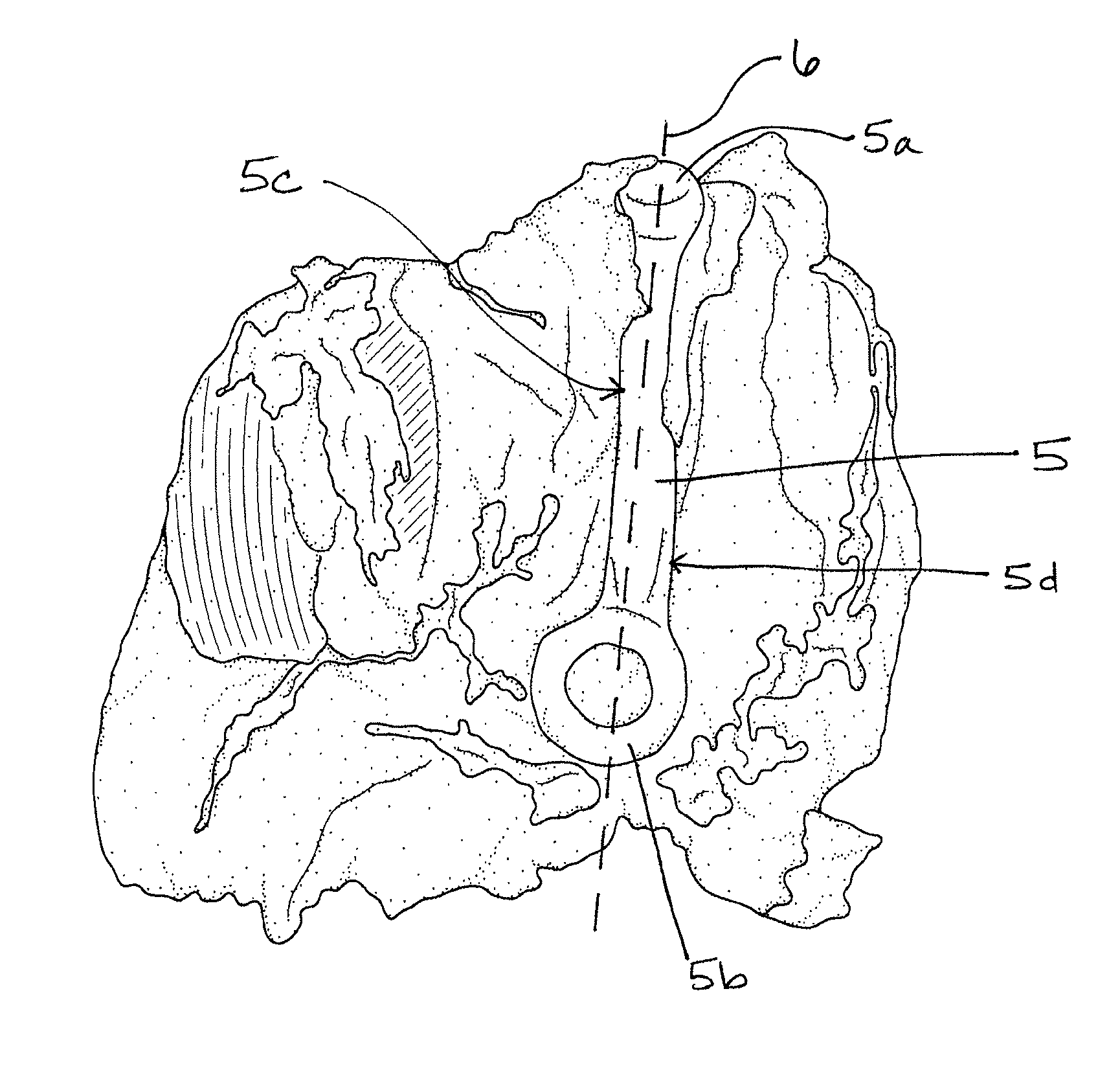 Methods for processing poultry thigh meat