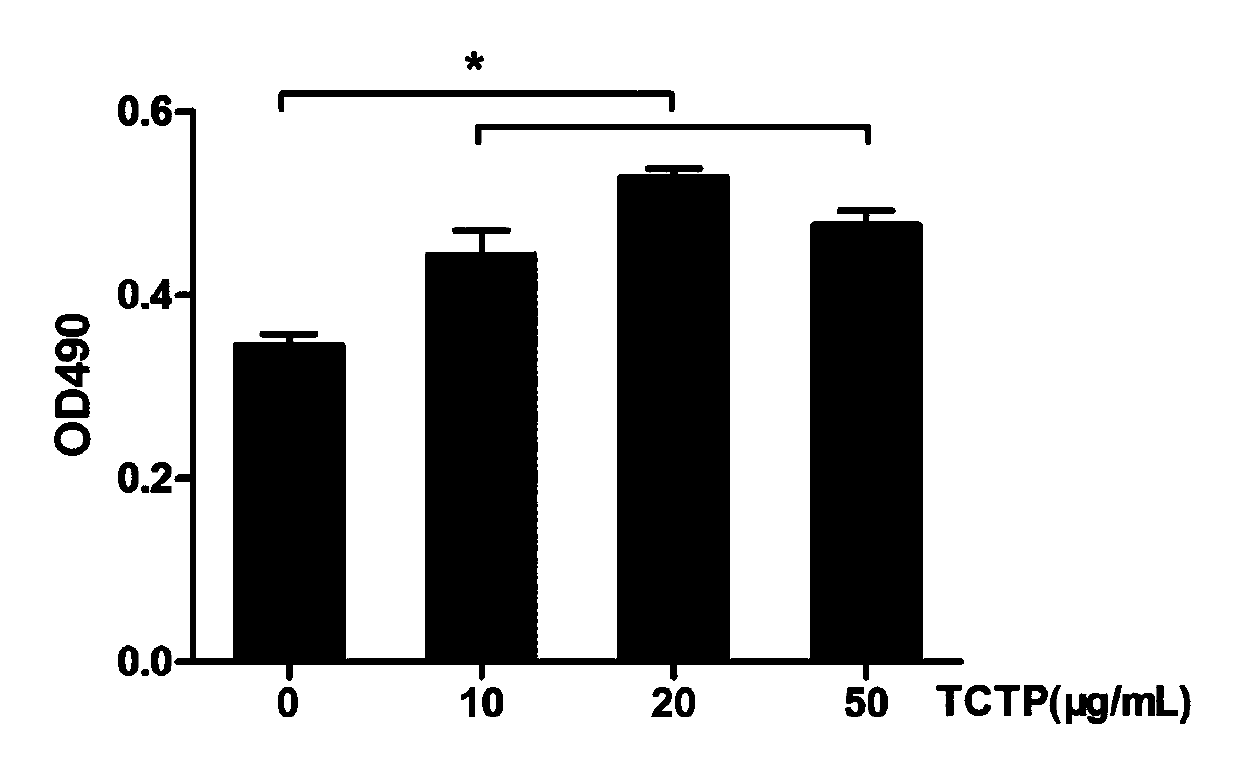 Cartilage repair material containing translationally controlled tumor protein as well as preparation method and application thereof