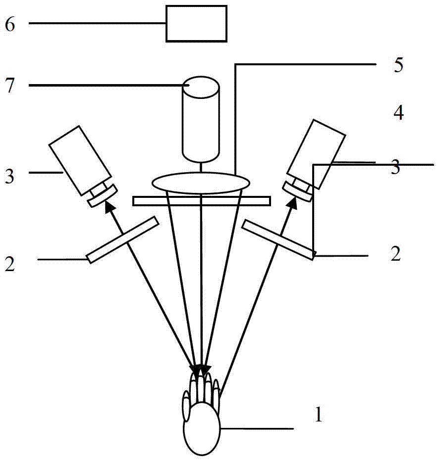 Multi-spectral three-dimensional venous image display device