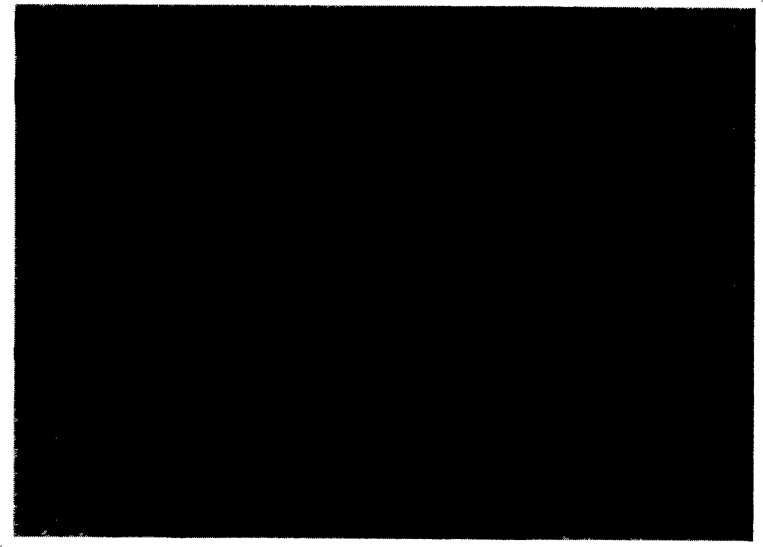 Gordona terrae C-6 and its desulfurization effect