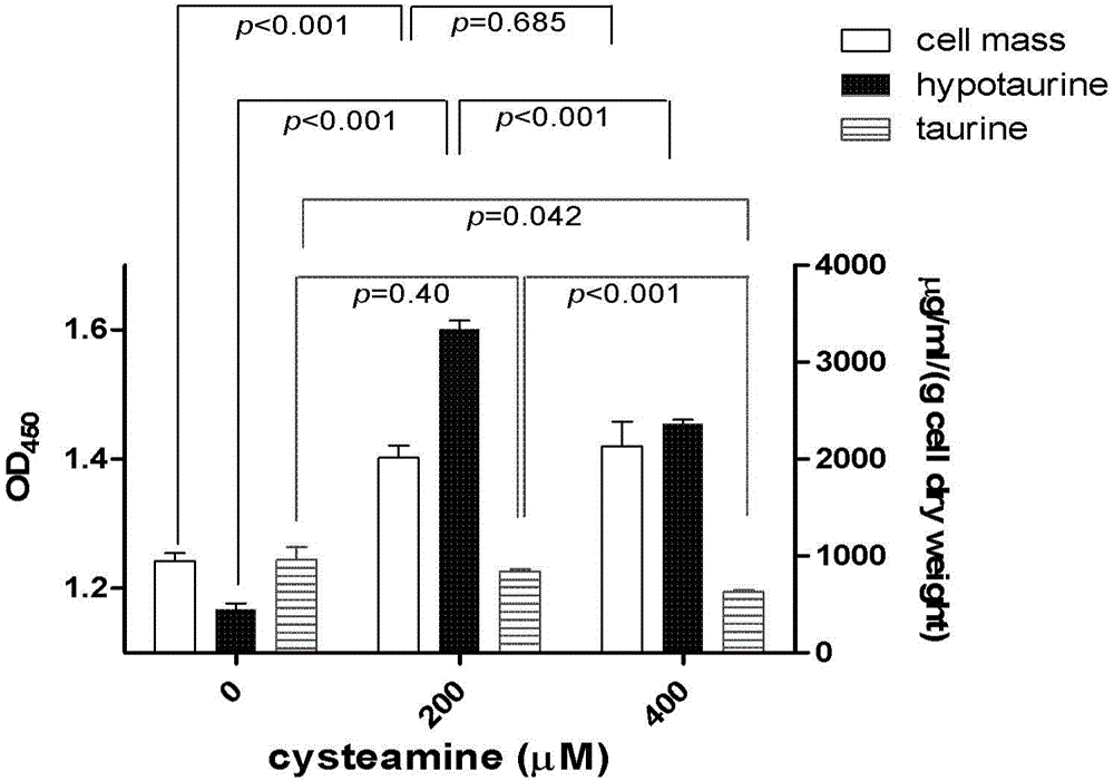 Application of reagent for inhibiting bio-synthesis of endogenous metabolite hypotaurine in preparation of medicine for inhibiting tumor cell proliferation