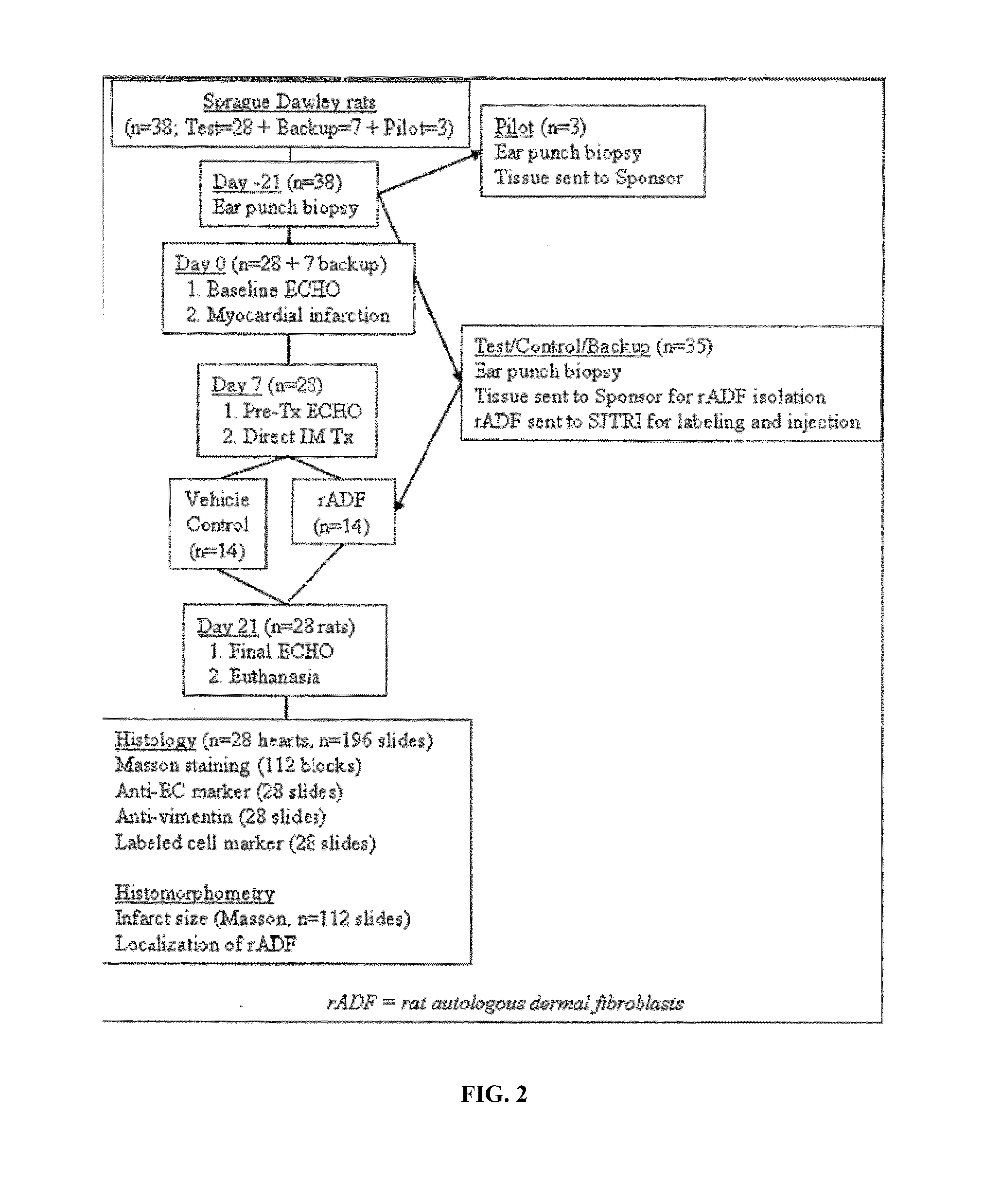 Methods and Compositions for Treating Post-Cardial Infarction Damage