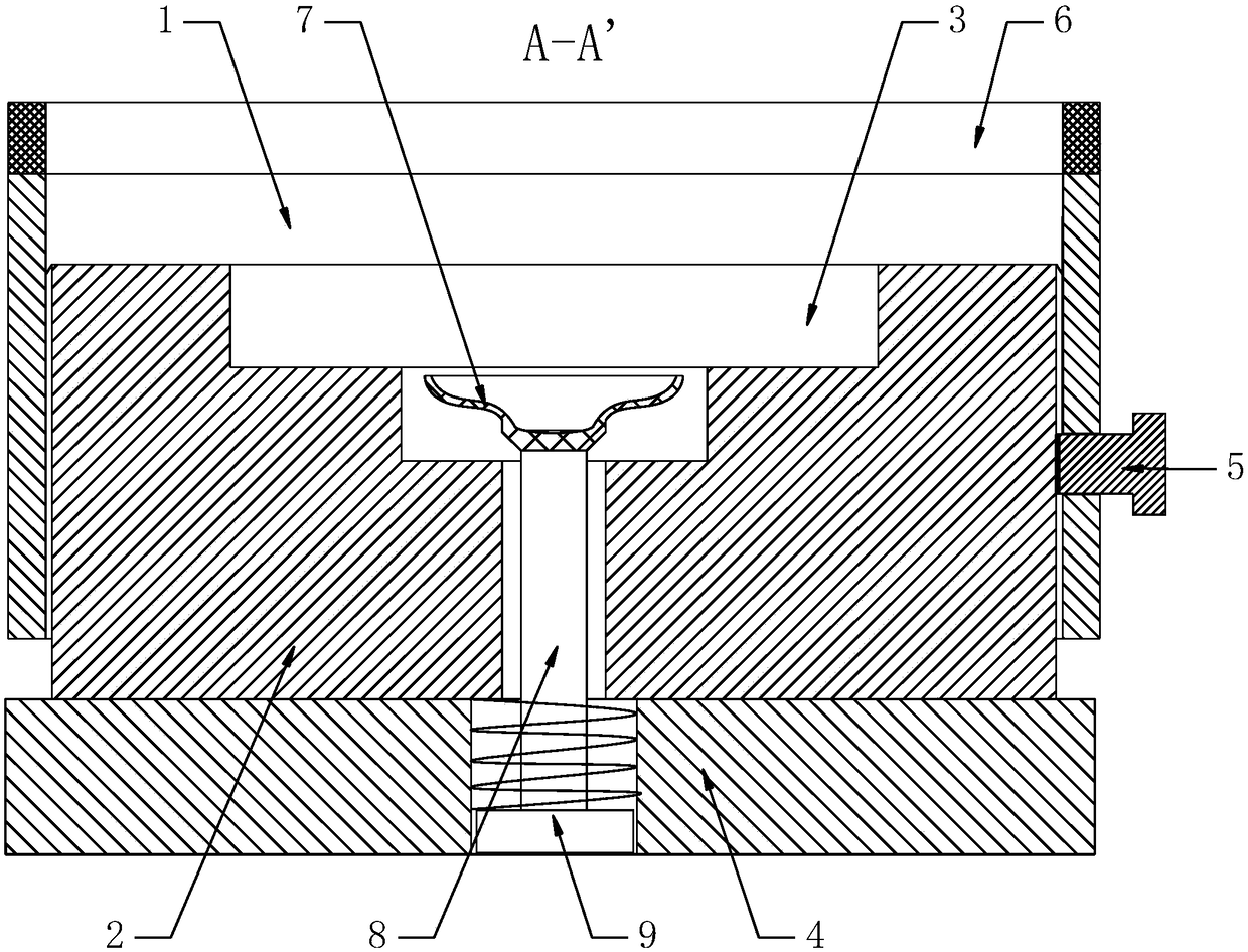 Electron microscope observation metal polishing clamp