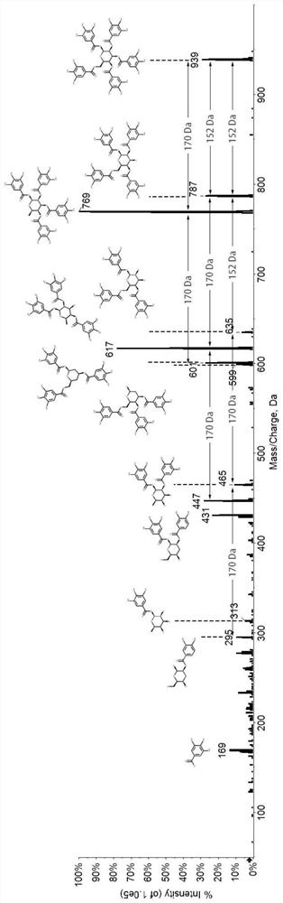 LC-MS/MS detection method for gallotannin in plants