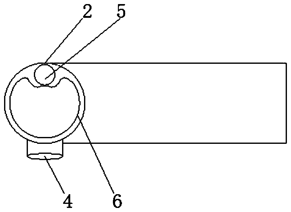 Visualized pleura brush cytology instrument