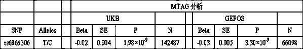 Kit for detecting juvenile osteoporosis based on rs6866306