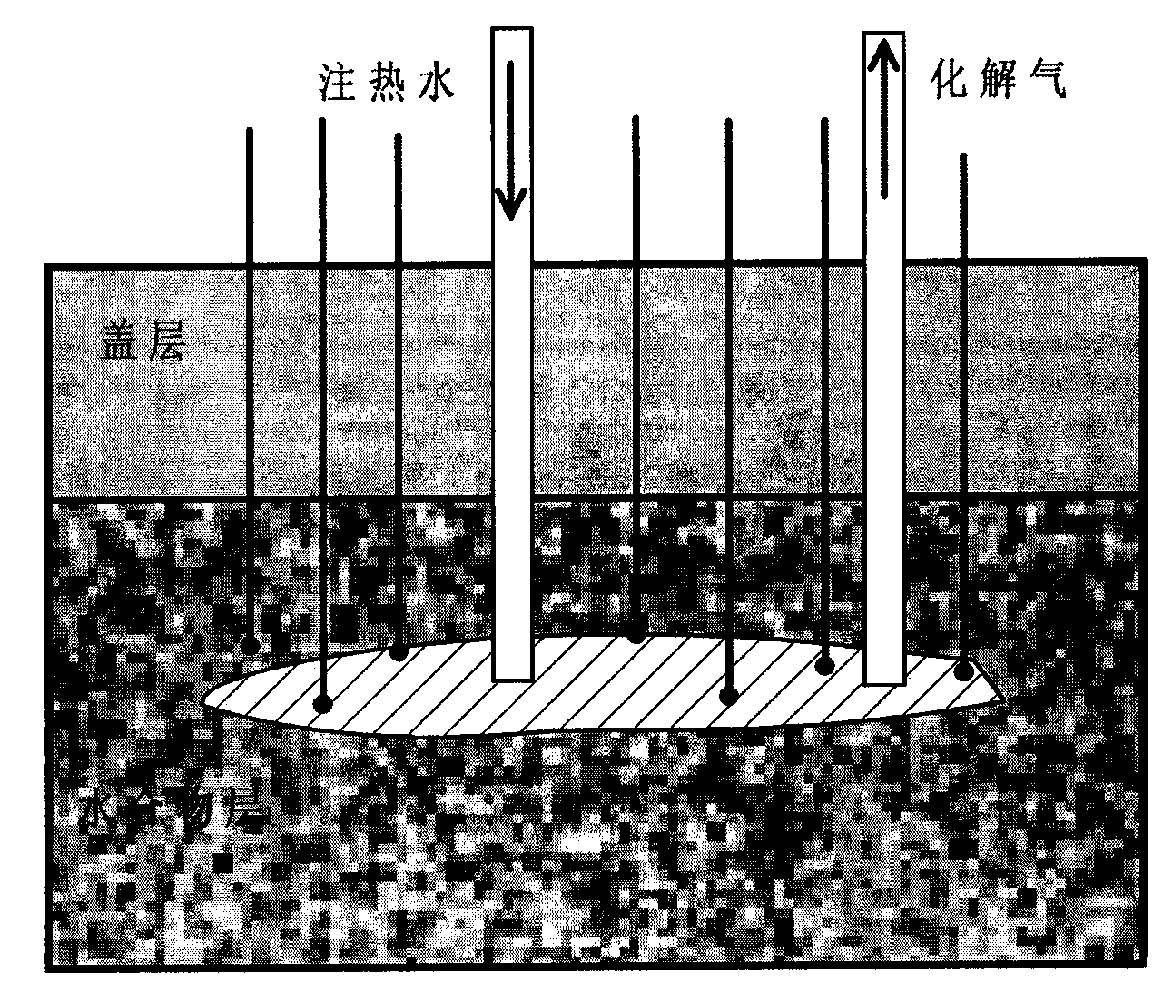 Experimental method and device for simulating exploitation of gas hydrates