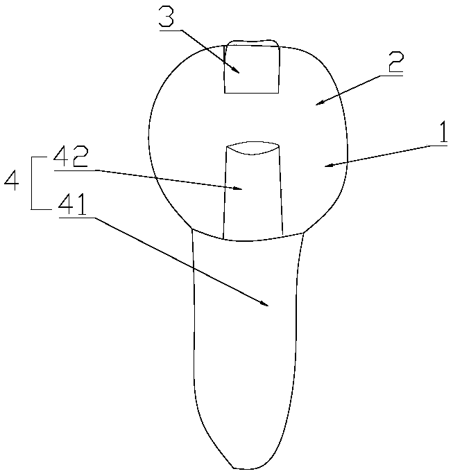 An adjustable artificial tooth crown and dental implant