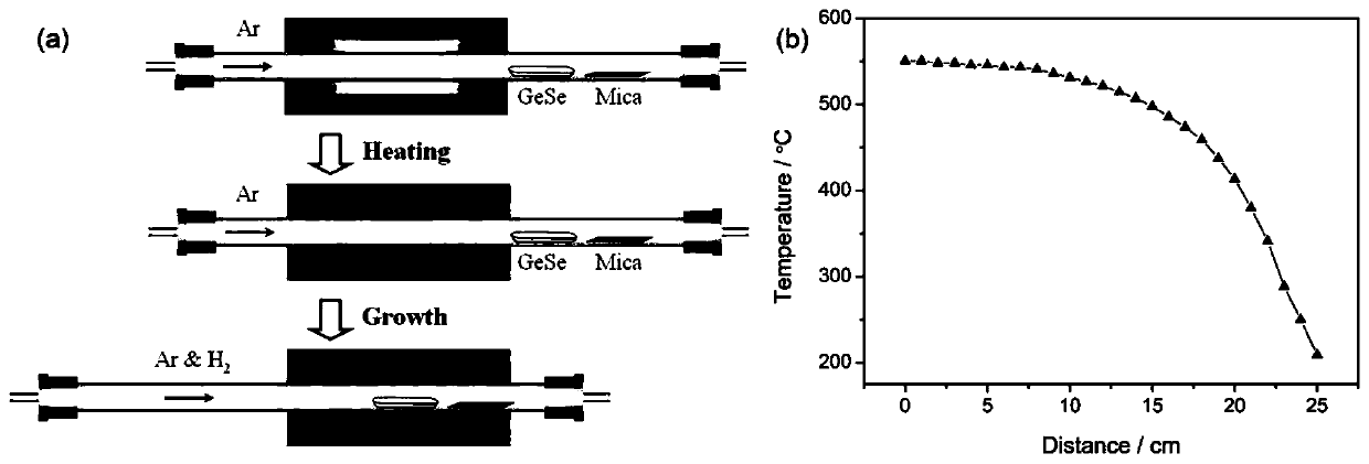 Method for growing two-dimensional nanostructure through quick physical vapor deposition