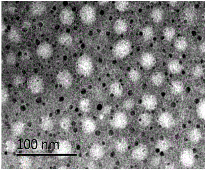 Chitosan nanoparticle for improving absorption of orally delivered insulin by colon and preparation method of chitosan nanoparticle