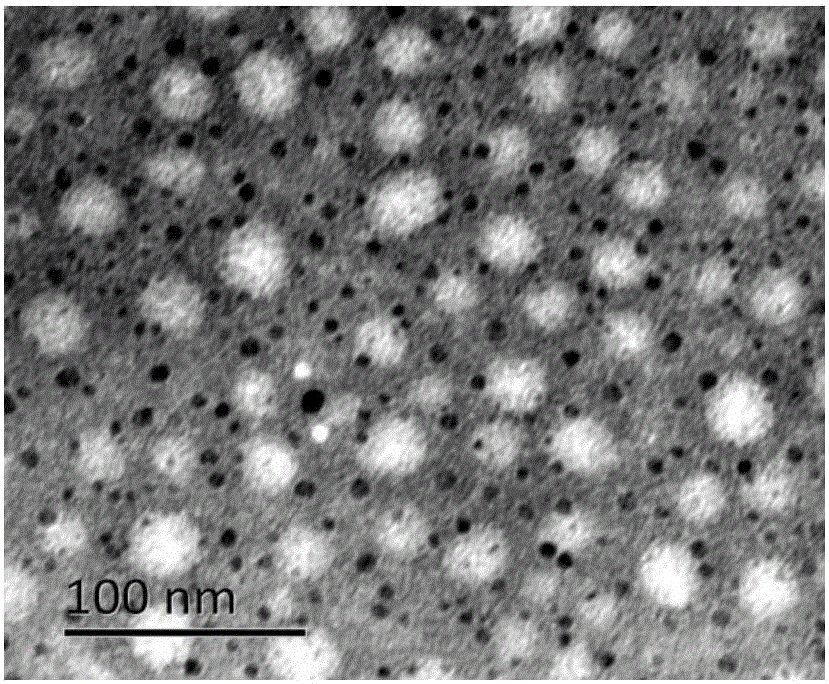 Chitosan nanoparticle for improving absorption of orally delivered insulin by colon and preparation method of chitosan nanoparticle