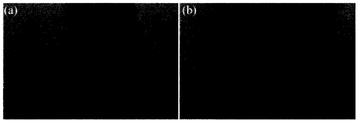 Preparation method for metal-free perovskite quantum dots DABCO-NH4X3 (X=Cl, Br, I)