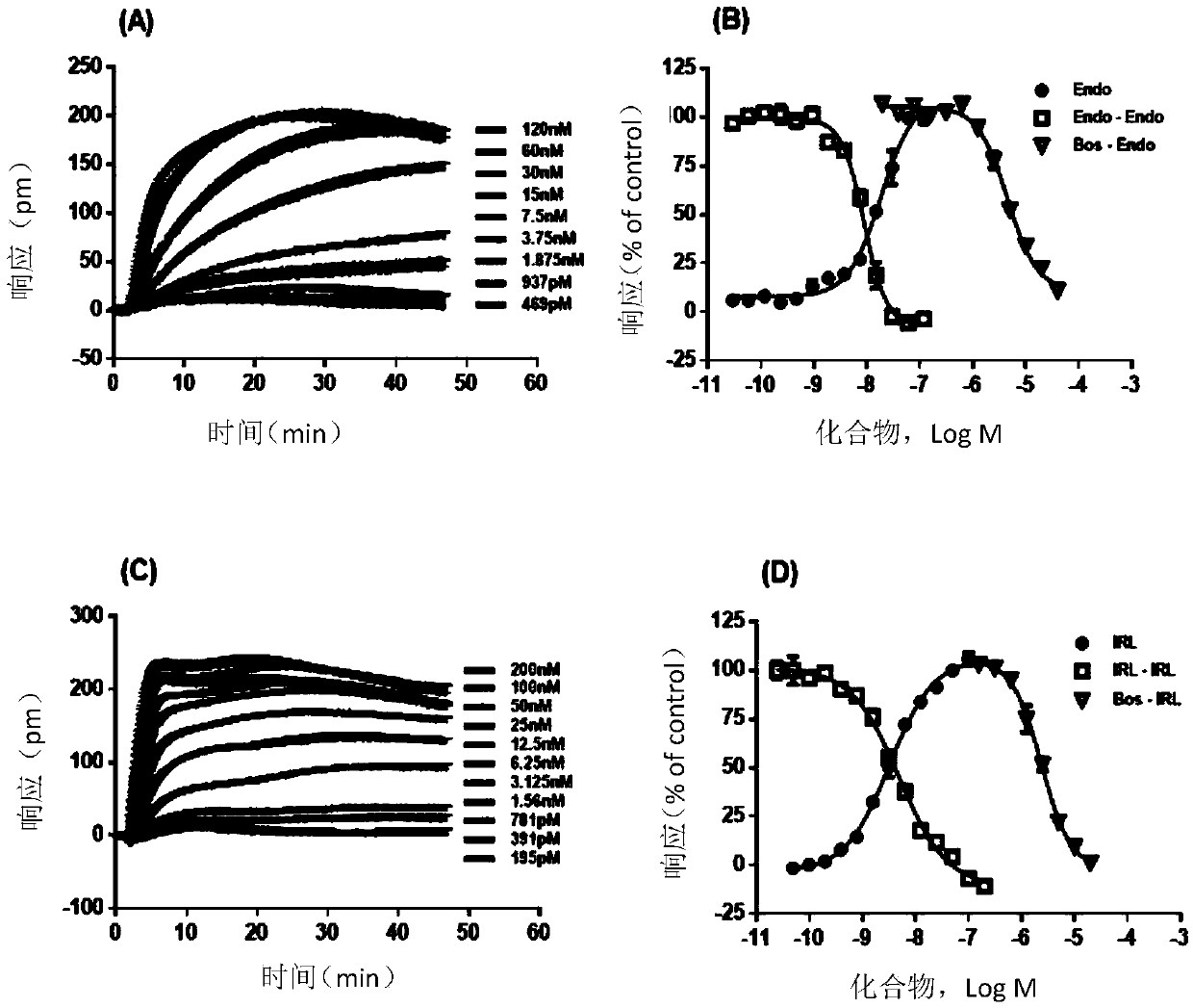 Unmarked endothelin receptor cell model construction and screening method and application