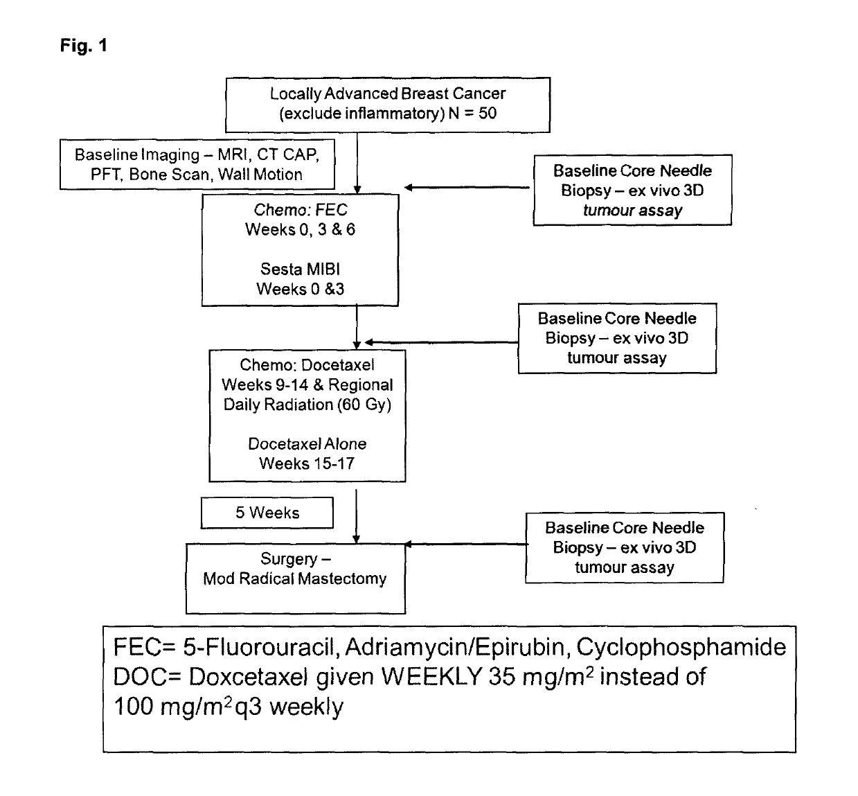 Methods and kits for monitoring response to radiation therapies in cancer