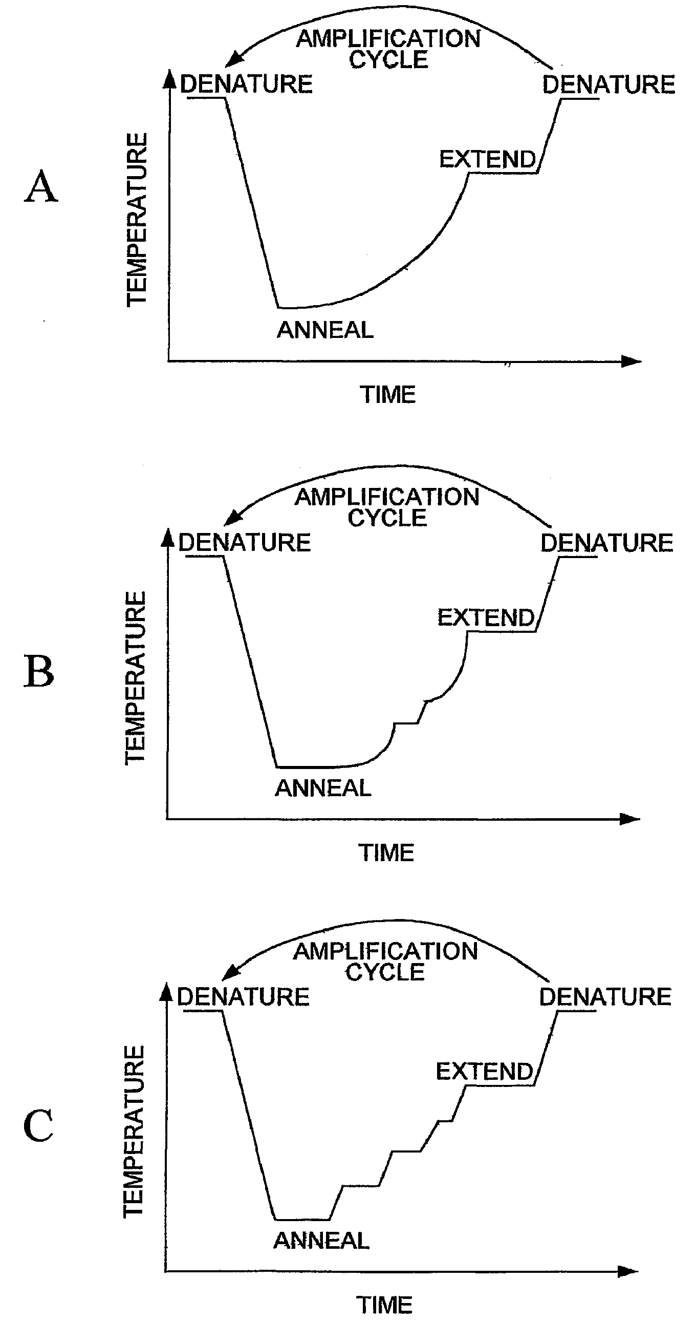 Random Mutagenesis And Amplification Of Nucleic Acid