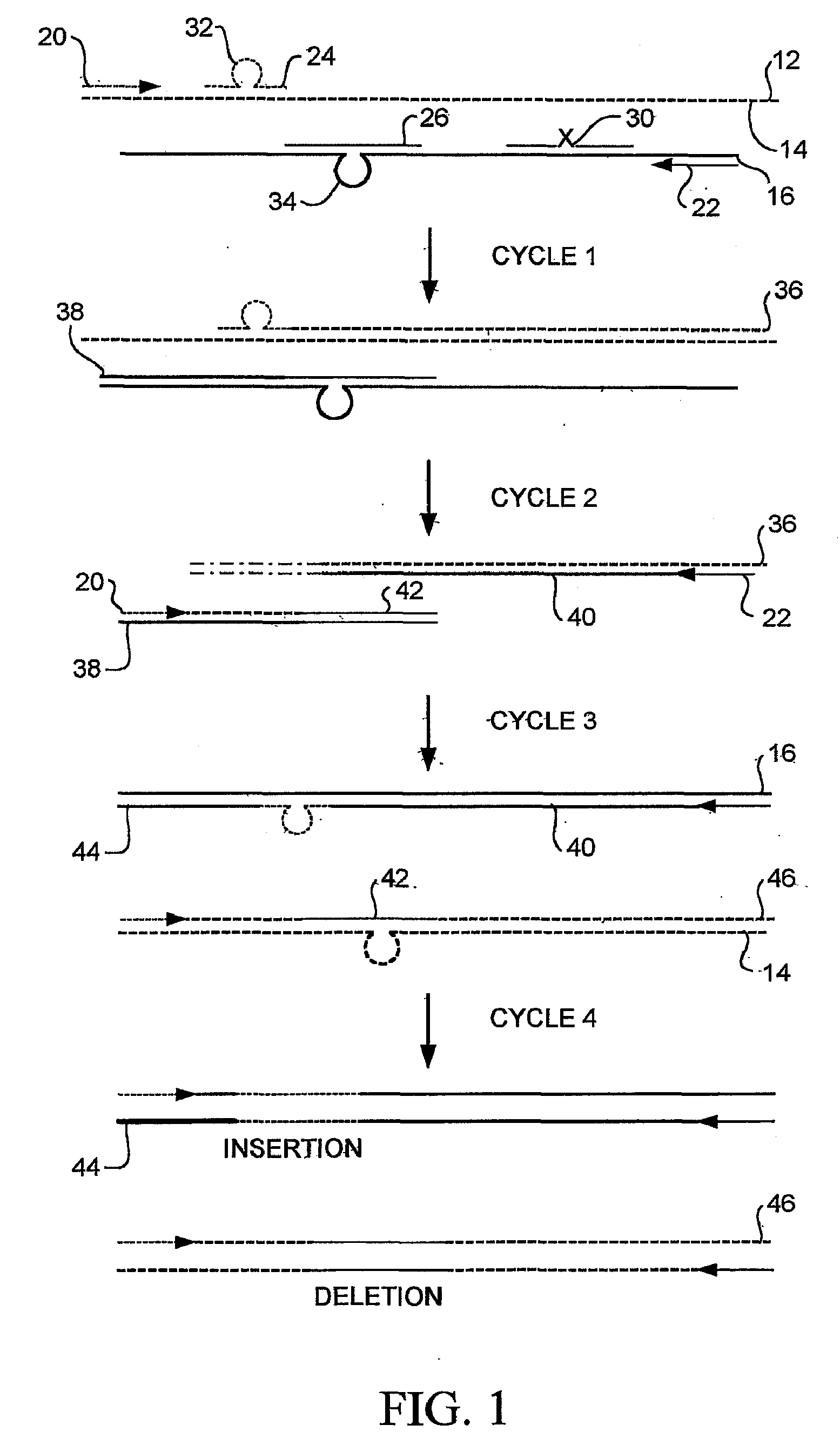 Random Mutagenesis And Amplification Of Nucleic Acid